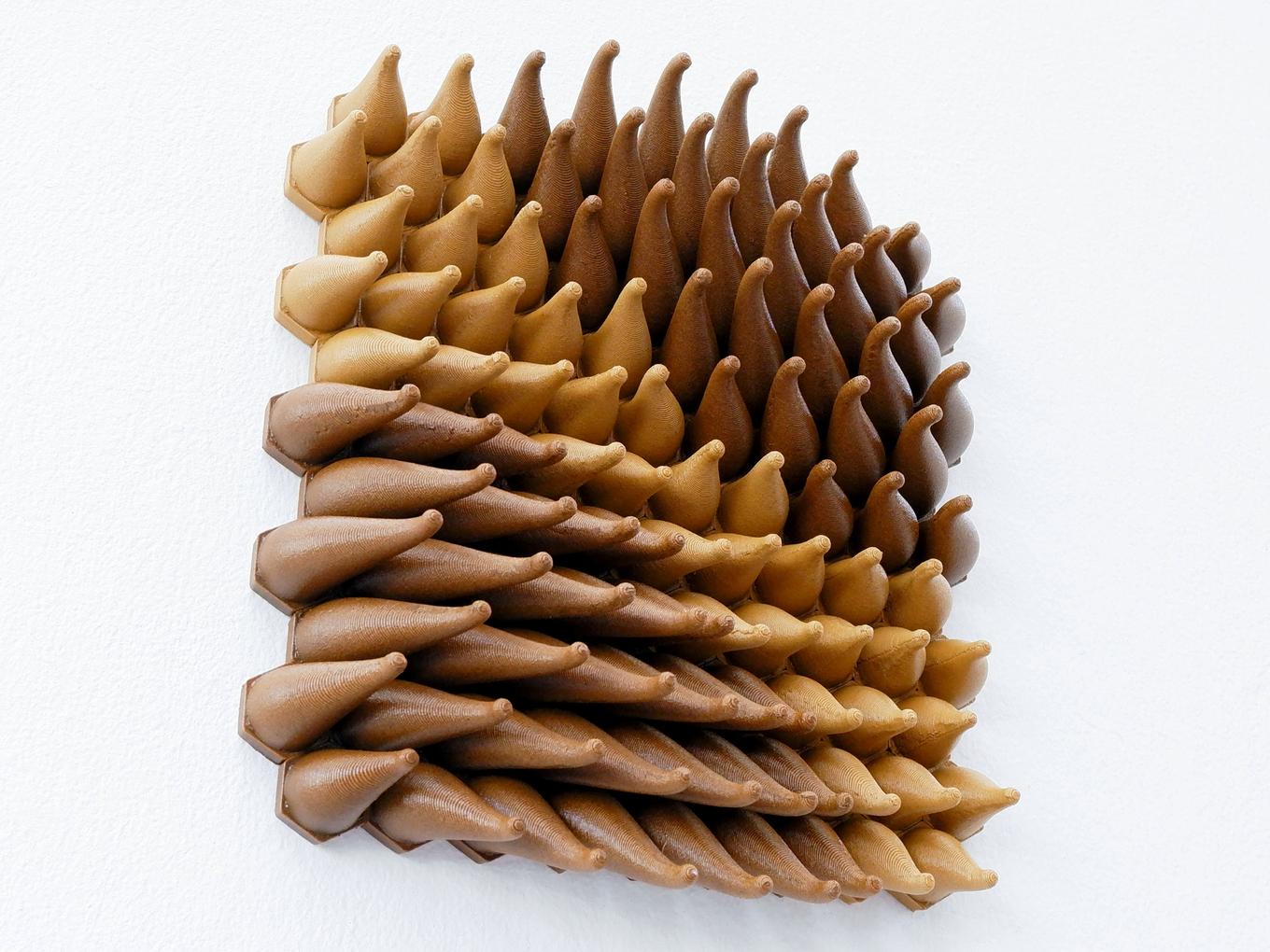 Wooden Sweepy Sprouts | Herschel Shapiro | Contemporary Wall Sculpture