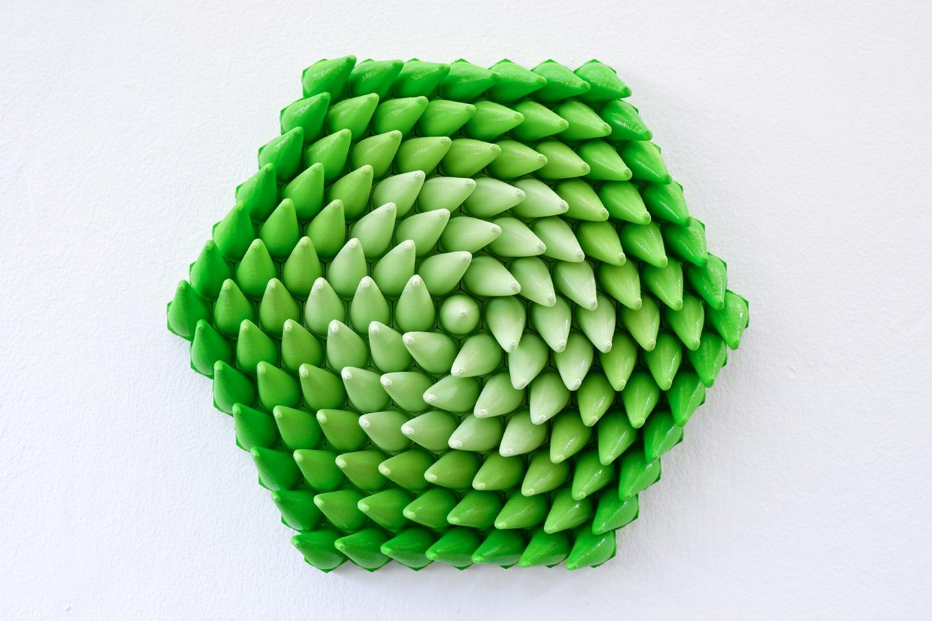 Fresh Sprouts | Herschel Shapiro | Hexagon 3D Wall Art