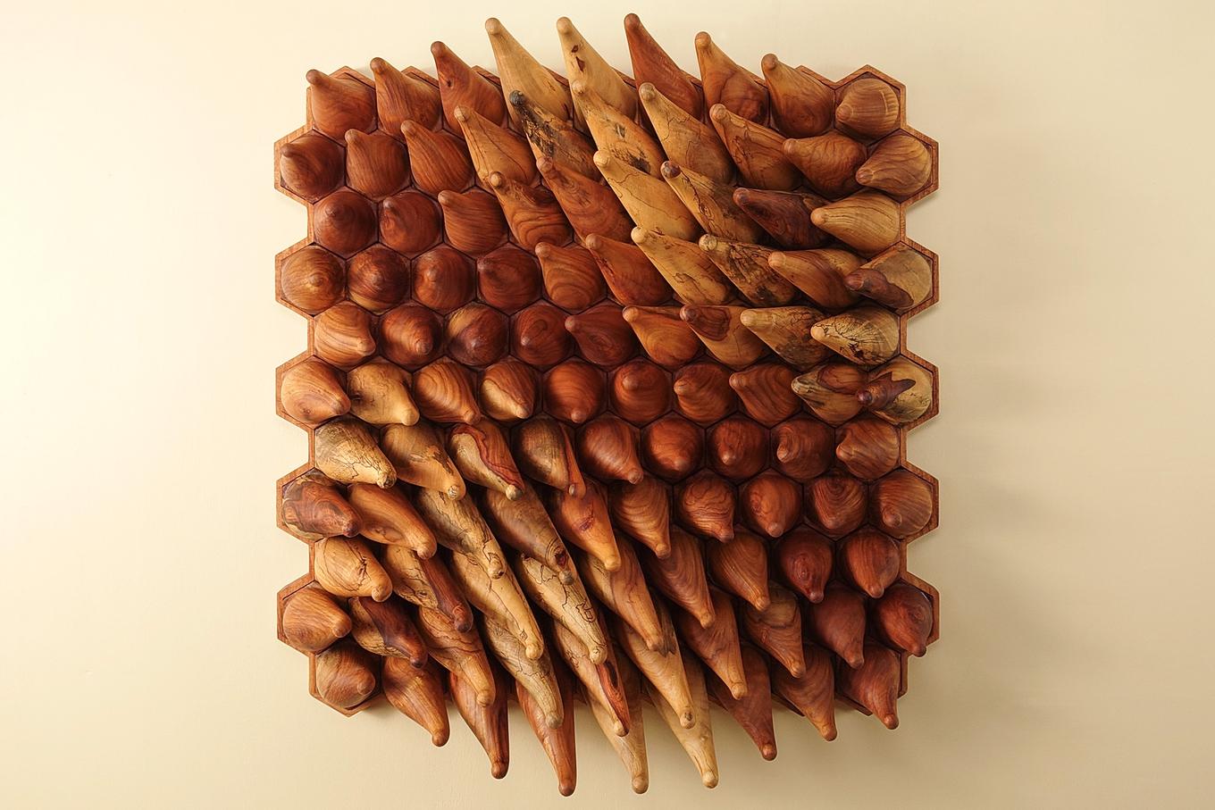Sweepy Sprouts - Narra | Herschel Shapiro | Abstract Wall Sculpture Sweepy Sprouts - Narra | Herschel Shapiro | Abstract Wall Sculpture