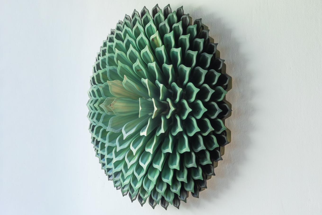 Succulent III| Herschel Shapiro | Sacred Geometry Wall Art Flower Mandala
