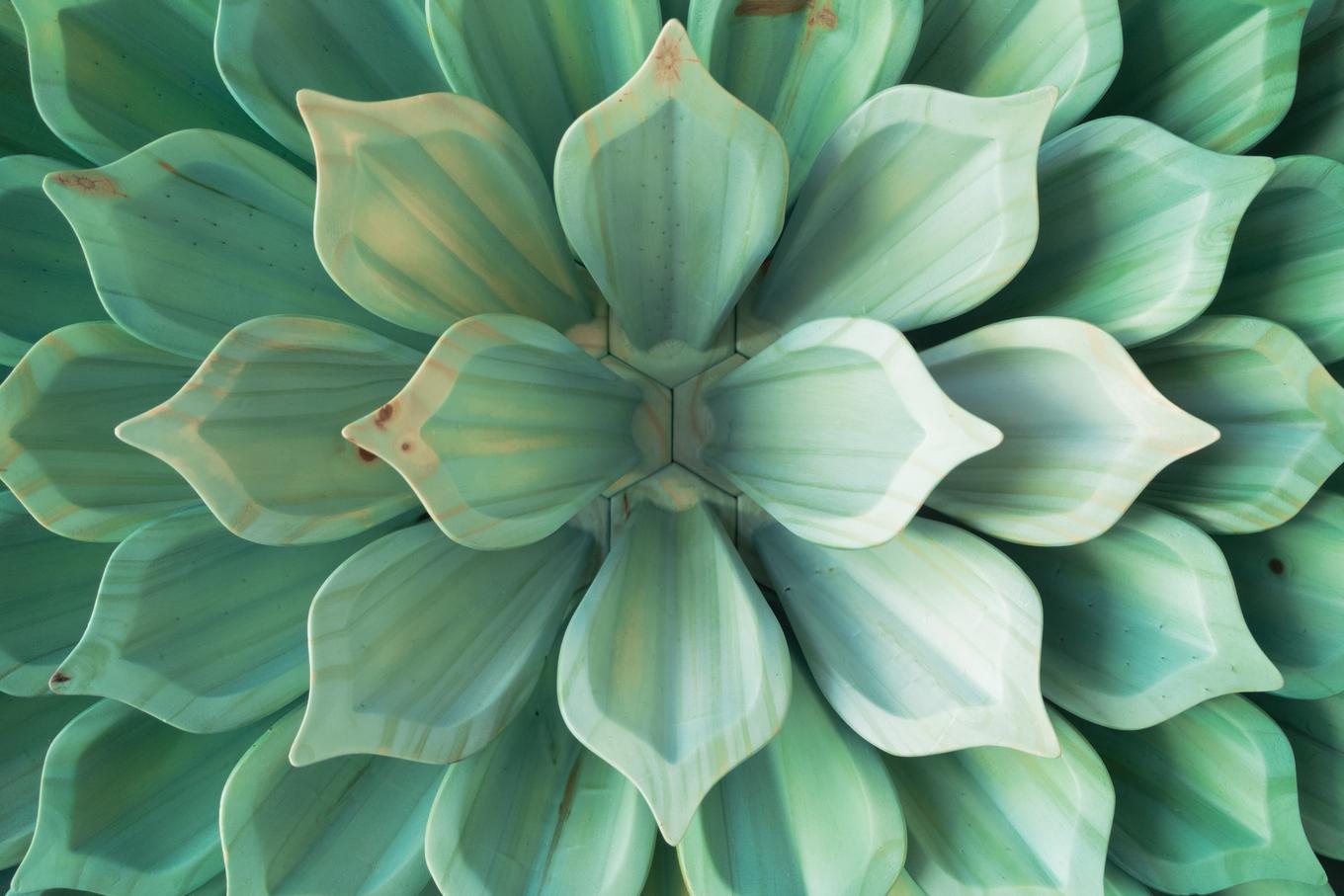 Succulent III | Herschel Shapiro | Abstract Wall Sculpture