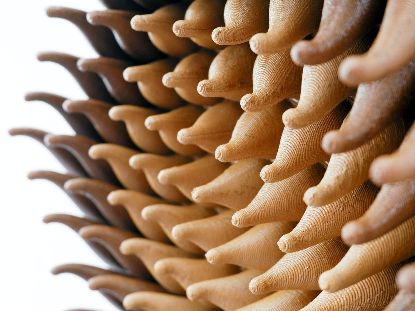 Wooden Vortex Sprouts | Herschel Shapiro | Modern Dimensional 3D Wall Art Mosaic