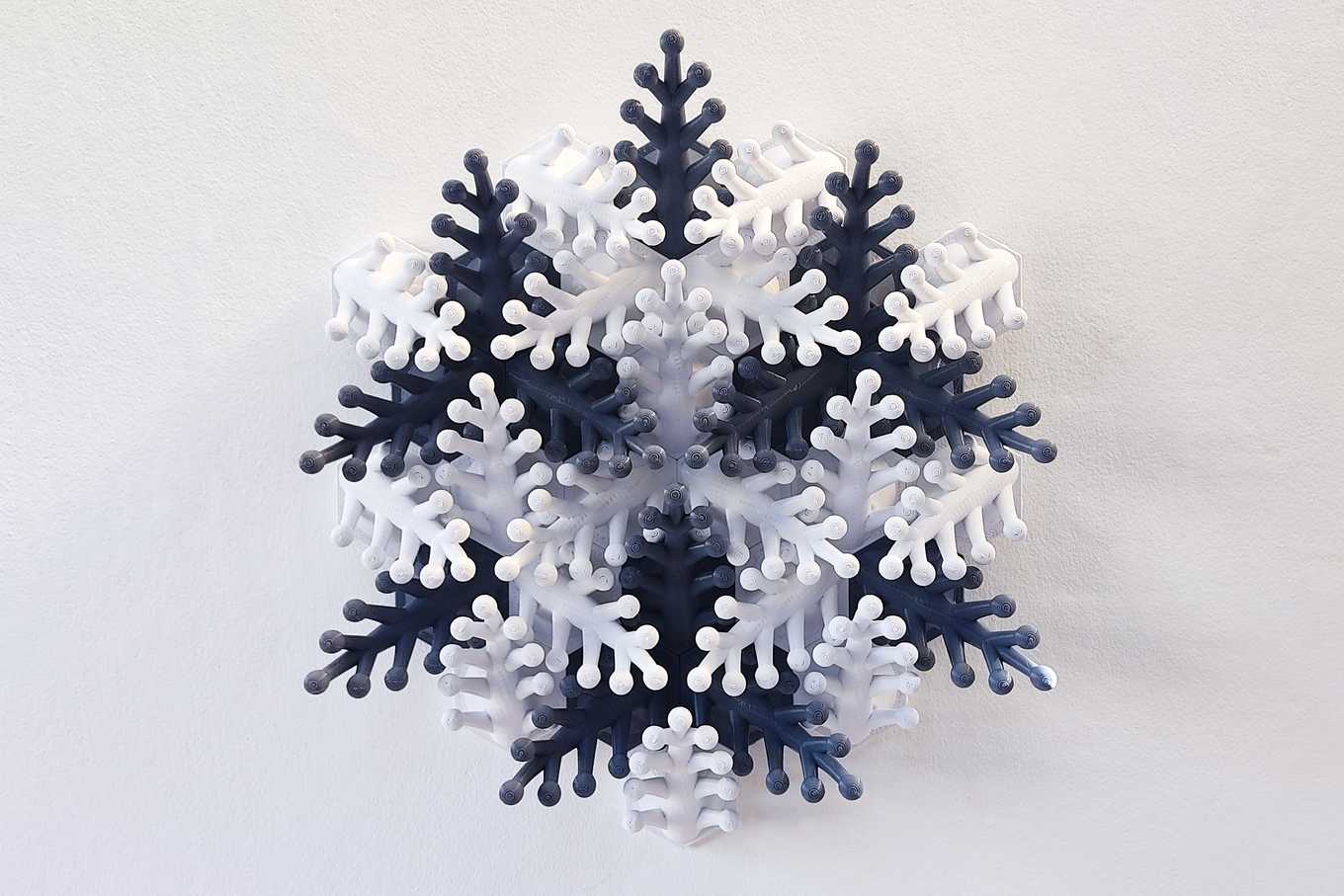 Coral Snowflake