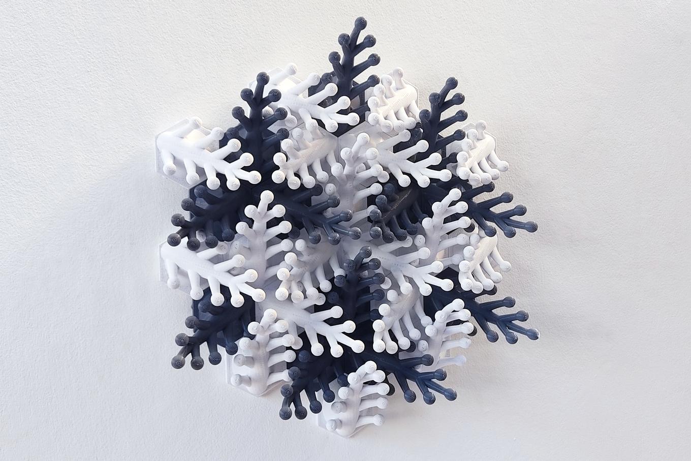 Coral Snowflake | Herschel Shapiro | Abstract 3D Wall Art